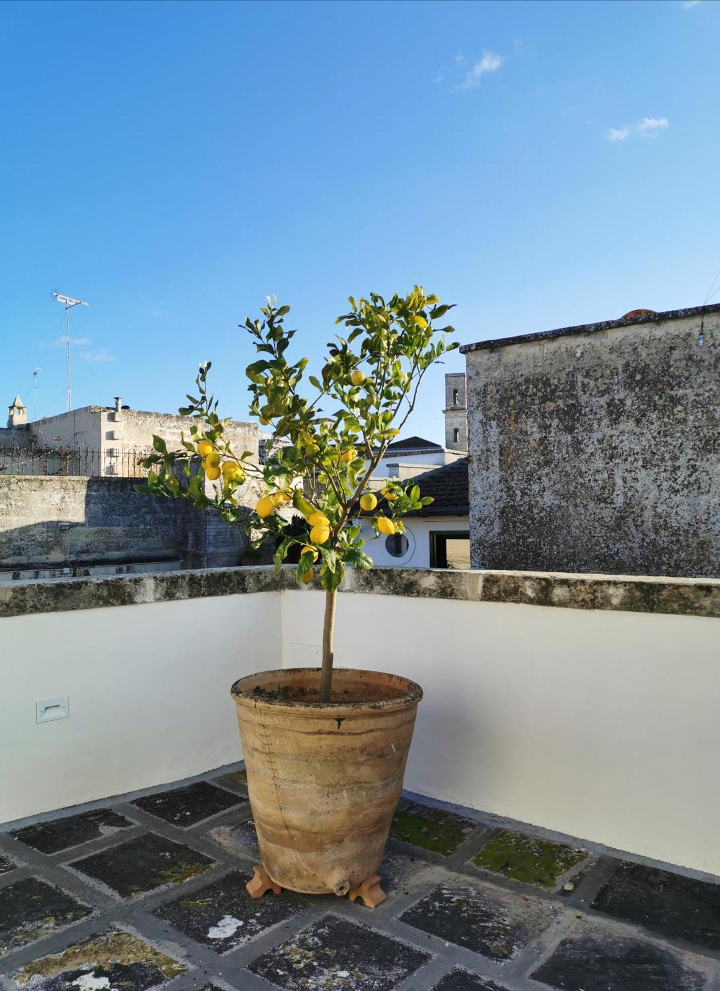 Coniger 4 In Centro Con Wi-fi E Smart Tv Holiday home